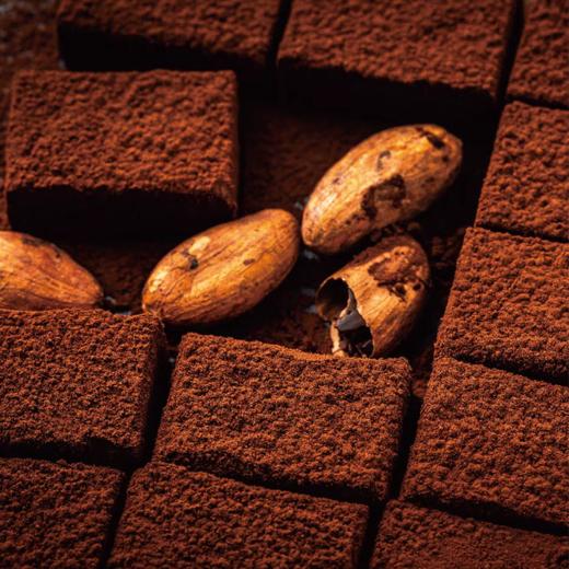  【巧克巧蔻 生巧克力】纯可可脂配方 美味更健康 馥郁果香+微苦回甘 线下巧克力博物馆在售 商品图2