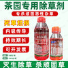 茶园专用除草剂正品草甘膦胺盐柑橘果园专用强力除杂草烂根剂批发 商品缩略图0