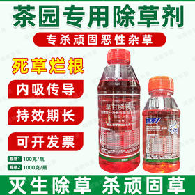 茶园专用除草剂正品草甘膦胺盐柑橘果园专用强力除杂草烂根剂批发
