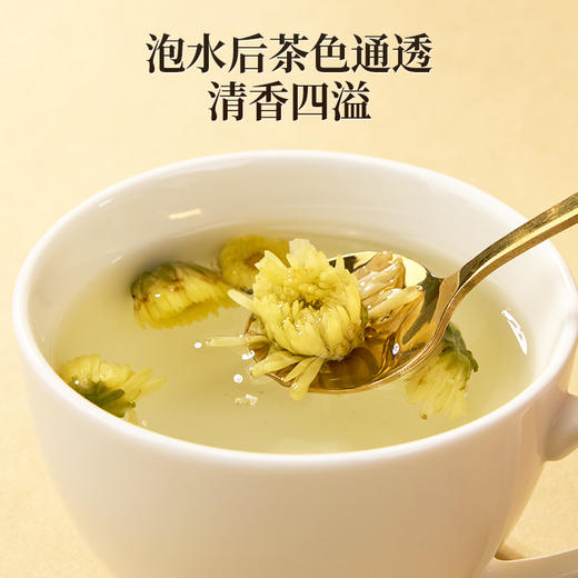 【桐乡胎菊花】50g/罐 色泽金黄 清香四溢 严选头茬桐乡胎菊 商品图5