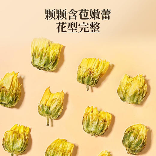 【桐乡胎菊花】50g/罐 色泽金黄 清香四溢 严选头茬桐乡胎菊 商品图2
