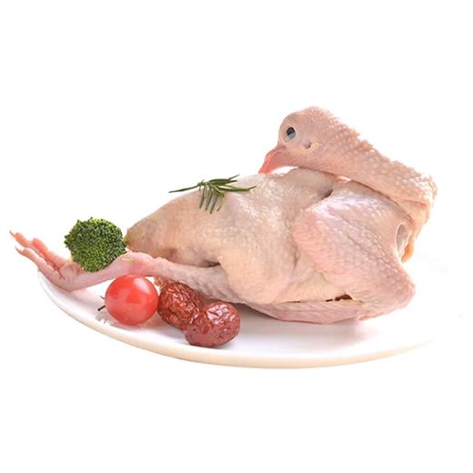 苏食肉品（冻翅中2斤+乳鸽300g）冷冻发货 商品图2