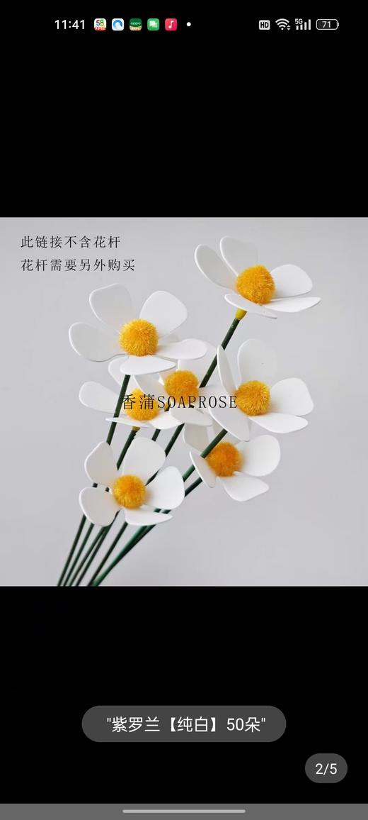 永生花紫罗兰--千日红 商品图3