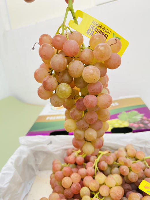 智利荔枝香葡萄 ，风味浓郁、纯甜 商品图3