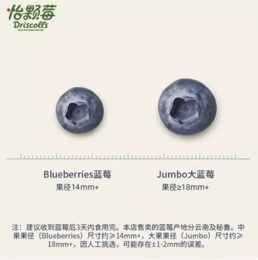 【日配鲜食】Driscoll's怡颗莓18mm 125g/盒 新鲜脆甜 果肉饱满 （下单后3日内提配） 商品图3
