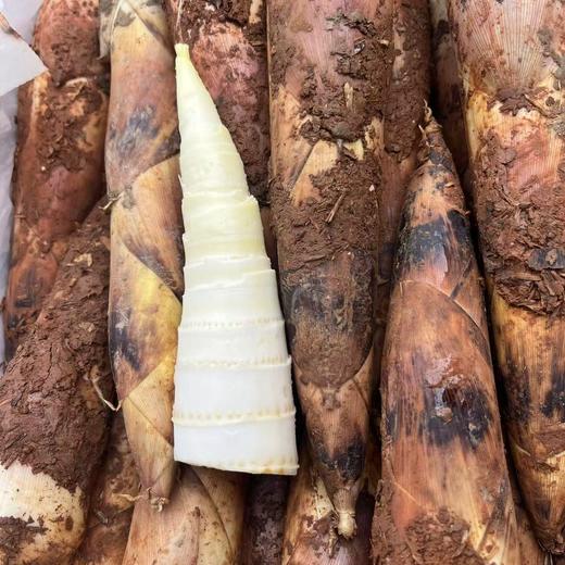 春笋3斤左右，以其鲜美和醇厚的口感脱颖而出  那脆爽的口感，清冽回甘的清香😋 商品图1