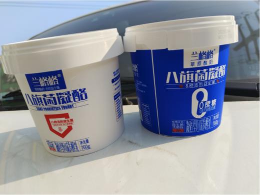 兰格格八旗菌凝酪一桶 商品图0