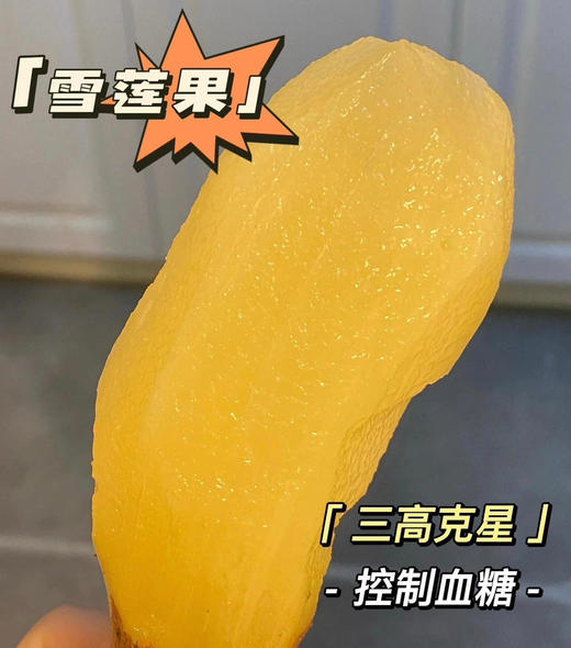 【产地优选】12.9元每箱  精选雪莲果整箱4.5斤 商品图0