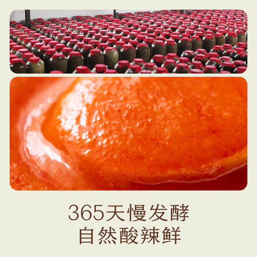 南食召 本真红酸汤 商品图2