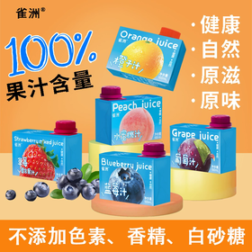 雀洲小果汁 小包装网红饮品 100ml*12盒/提 多种口味任选