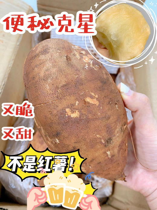 【产地优选】12.9元每箱  精选雪莲果整箱4.5斤 商品图1