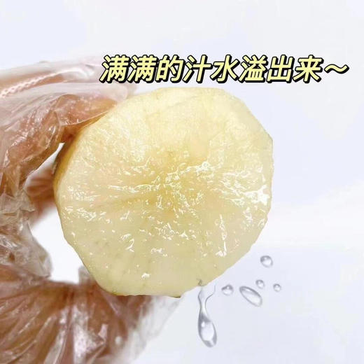 【产地优选】12.9元每箱  精选雪莲果整箱4.5斤 商品图3