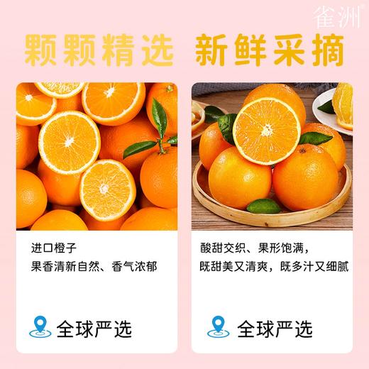 100ml*12雀洲橙子汁 小包装网红饮品 商品图4