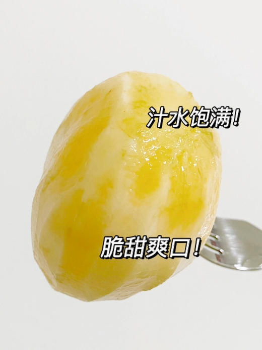 【产地优选】12.9元每箱  精选雪莲果整箱4.5斤 商品图2