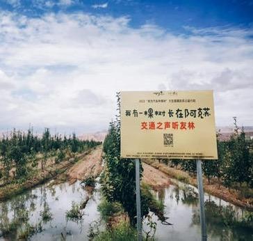 【家庭树】2026“我有一棵树 长在阿克苏”大型援疆行动家庭树认种 商品图2