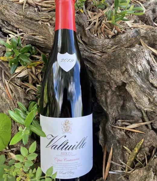 Castro Ventosa 'Valtuille Cepas Centenarias' 卡斯特文瓦图伊百年经典干红葡萄酒2019 商品图0