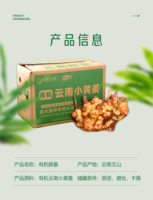 云南文山有机带泥鲜姜 500g/盒云南有机鲜小黄姜一件 包邮 商品图6