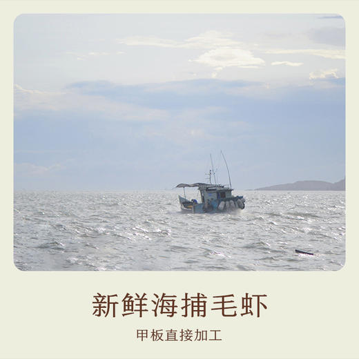 南食召 淡干虾皮 商品图2