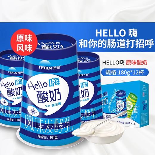 【2件立减5元】天润酸奶hello杯原味益生菌酸奶整箱 180gx12瓶/件 商品图2