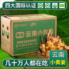 云南文山有机带泥鲜姜 500g/盒云南有机鲜小黄姜一件 包邮 商品缩略图4