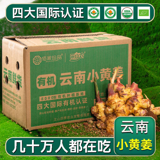 云南文山有机带泥鲜姜 500g/盒云南有机鲜小黄姜一件 包邮 商品图4