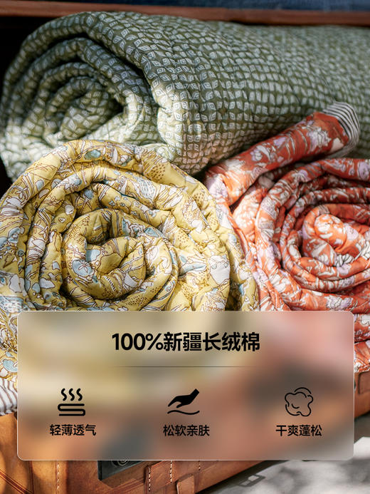 伽罗 JALO 可水洗印花薄棉被 商品图4