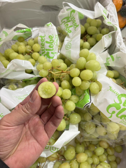 澳洲甜地球青提一份约500g 商品图0