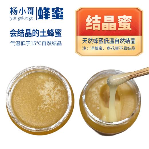 贵州山花蜜源土蜂蜜250g/罐装 商品图2