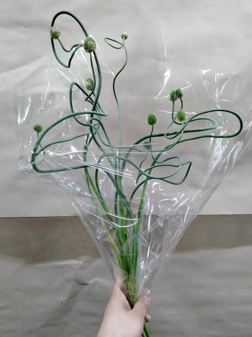 2月26日迷你弯葱-10支 商品图1