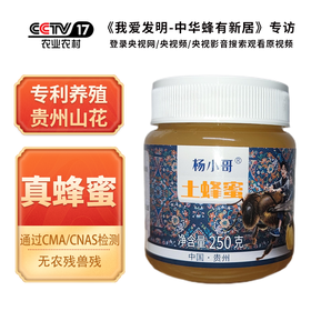 贵州山花蜜源土蜂蜜250g/罐装