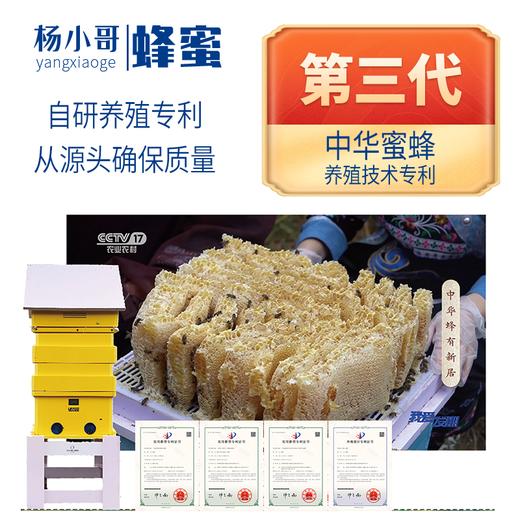 贵州山花蜜源土蜂蜜250g/罐装 商品图4
