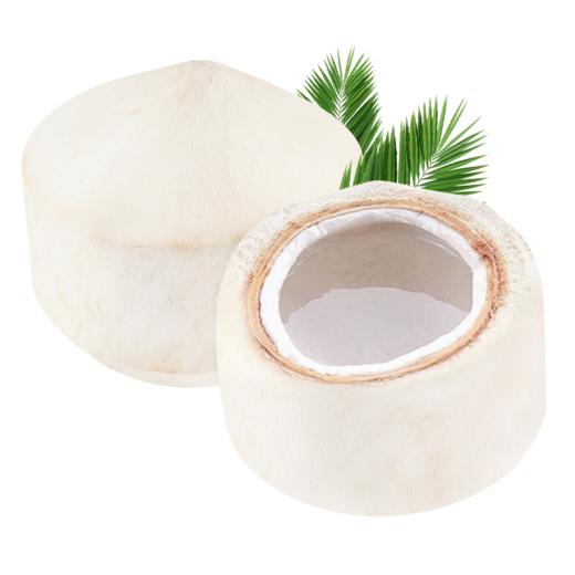 新鲜水果  泰国精品椰青 1枚 商品图5