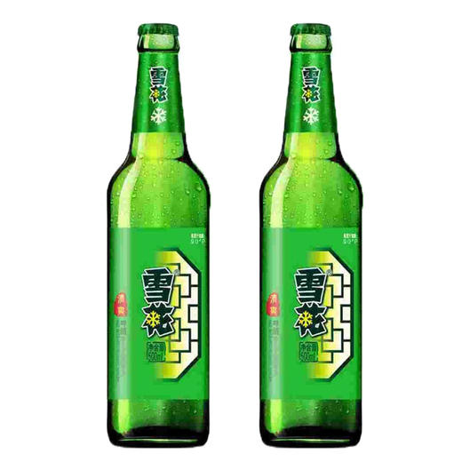【挚友分享2瓶装】雪花啤酒  经典清爽 9度500ml *2瓶 啤酒 商品图0