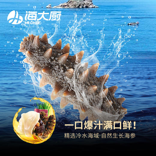 海大厨-海参水饺 商品图1