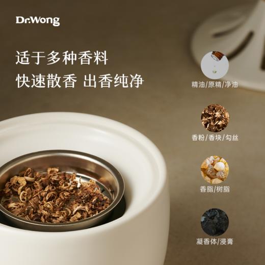 「天欲雪」香薰炉 商品图3