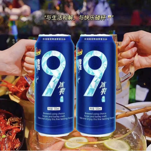 【2罐分享装】雪花啤酒 冰爽9度麦汁浓度 500ml罐 雪花不飘我不飘 商品图0