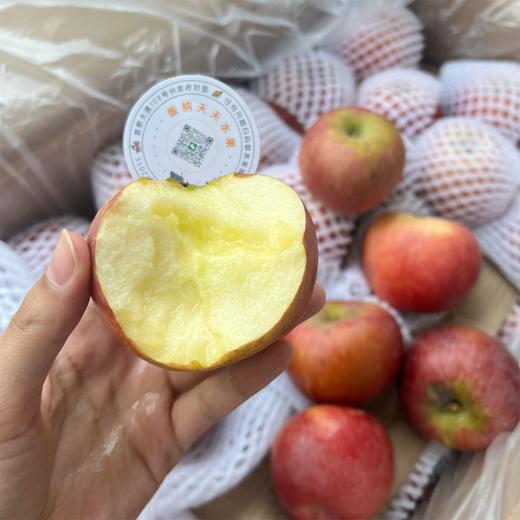 昭通糖心苹果 脆甜多汁 商品图10