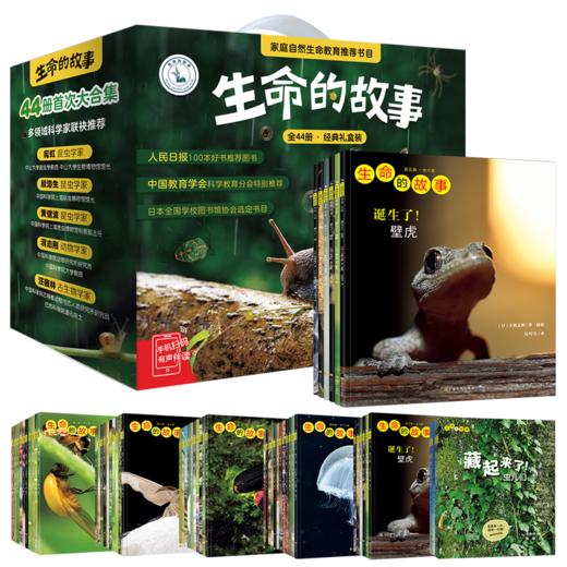 生命的故事  科普绘本科普读物图画书 商品图1