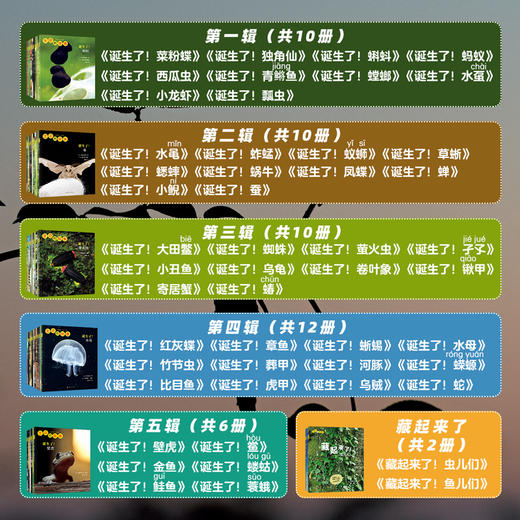 生命的故事  科普绘本科普读物图画书 商品图3