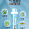 晓婴坊3#鱼腥草草本浴 商品缩略图2