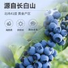 可益康蓝莓原浆饮品30ml*10袋/盒 商品缩略图2