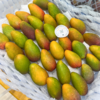 海南树熟贵妃芒 芒果 商品缩略图2