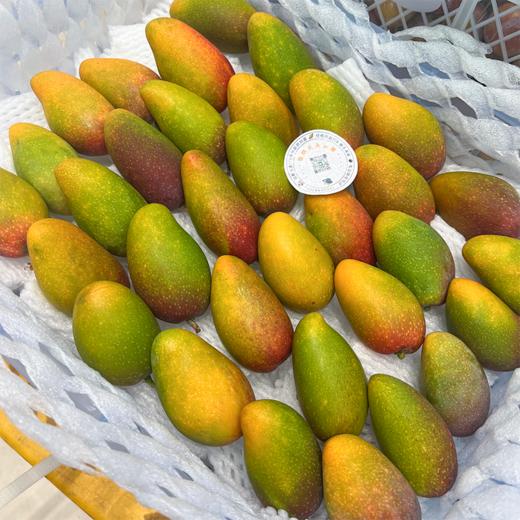 海南树熟贵妃芒 芒果 商品图2