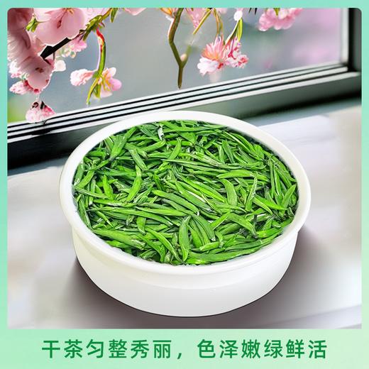 恩施 金苔香 初玉雪芽绿茶芽茶 48g/盒 商品图2