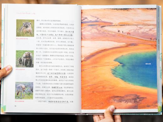 《写给孩子的世界文明》硬壳精装（全6册）| 风靡全世界，传承百年的人文经典，一套拿下地理+历史+艺术，全面提升孩子人文素养，奥巴马、赛珍珠的童年枕边书 商品图6