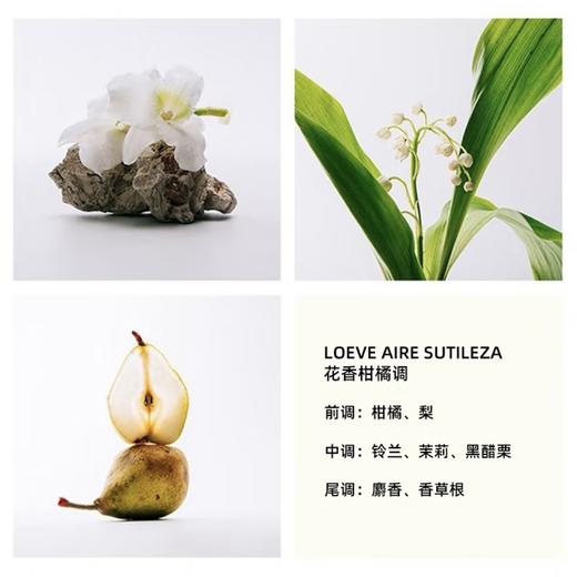 LOEWE罗意威奇迹天光淡香水100ml柔美浪漫 空灵兰香 商品图2