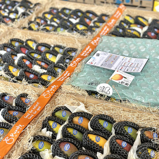 海南树熟「贵妃芒」小果 1kg 约11～13个 商品图6