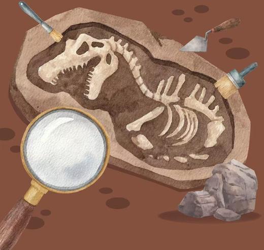 【南京】化石密码-菊石工程师 商品图0