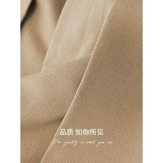 COCOBELLA商务休闲捏褶西裤静奢风通勤阔腿裤遮跨长裤PA7066 商品图3