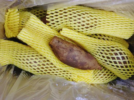 雪莲果一箱 商品图4